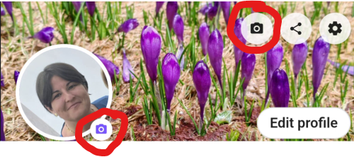 Bildeinstellungen in der eYou-App
