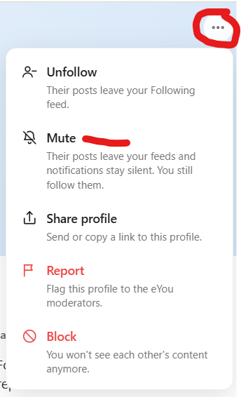 Ein gefolgtes Profil in der eYou-App stummschalten